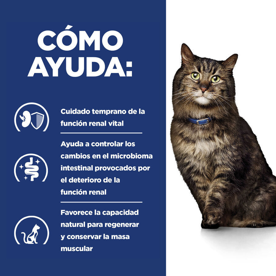 1.5 kg Hill's Prescription Diet Kidney Care k/d ra&ccedil;&atilde;o para gatos, , large Imagem n&uacute;mero 5